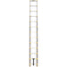 12' Telescopic Ladder