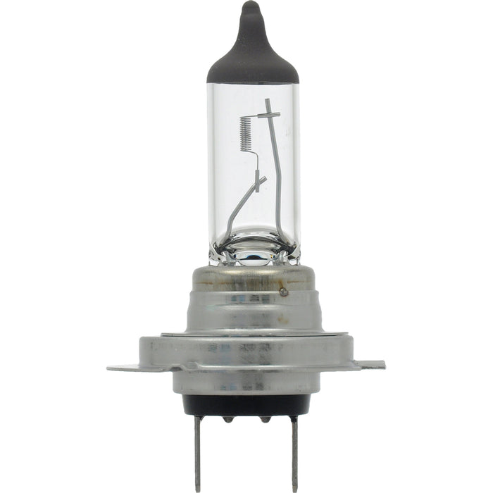 Ampoule de phare longue durée H7