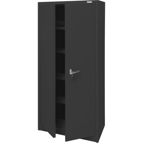 Storage Cabinet, Steel, 4 Shelves, 66" H x 30" W x 15" D, Black