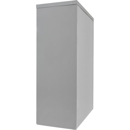 Counter-High Storage Cabinet, Steel, 2 Shelves, 42" H x 48" W x 24" D, Grey