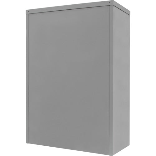 Counter-High Storage Cabinet, Steel, 2 Shelves, 42" H x 36" W x 24" D, Grey