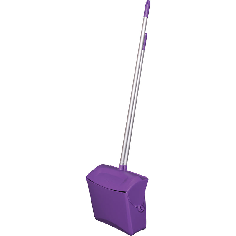 Lobby Dust Pan & Broom