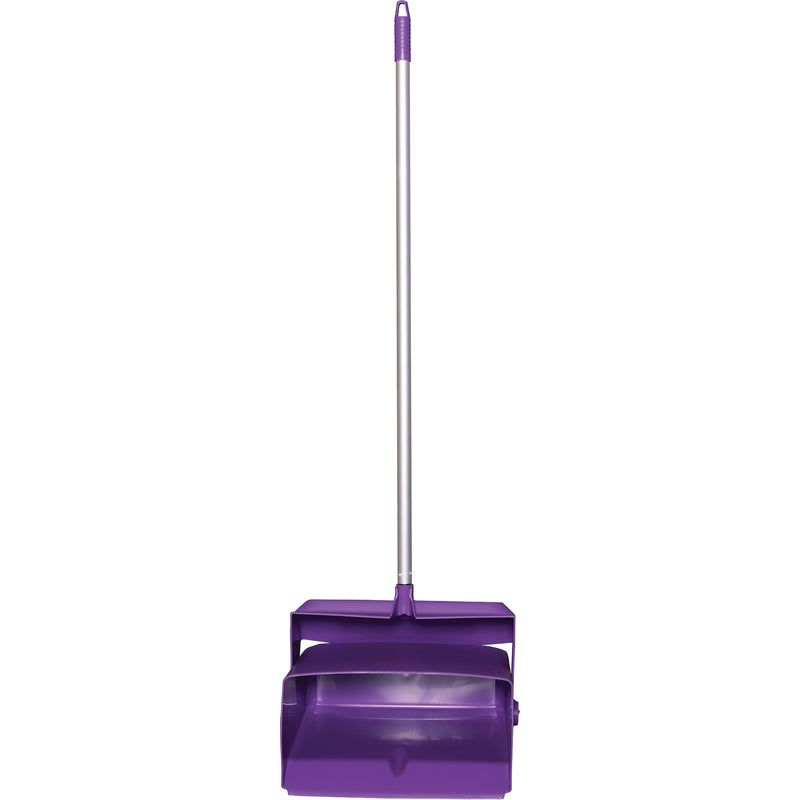 Lobby Dust Pan & Broom