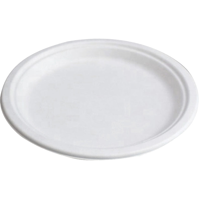 Assiettes compostables