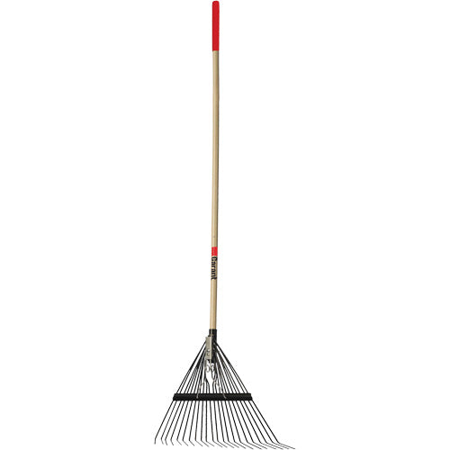 Lawn Rake