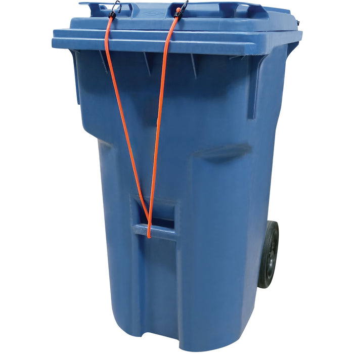 Bungee Cord Tie Downs, 48"