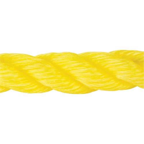 Braided Yellow Rope, Polypropylene, 300'
