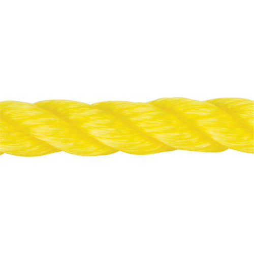 Braided Yellow Rope, Polypropylene, 144'