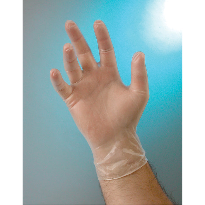 Examination Grade Gloves, Large, Vinyl, 4-mil, Powder-Free, Clear, Class 2