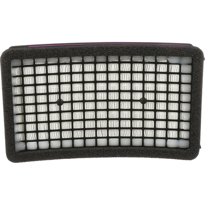 Speedglas™ HE PAPR Cartridge, P100 Filter, Pack of 1