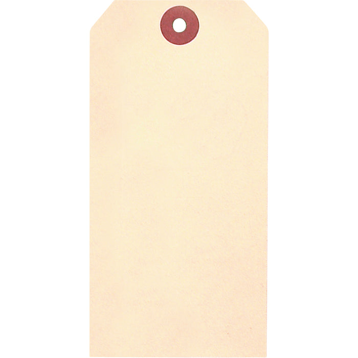 Manila Blank Tags, Cardstock, 2-1/8" W x 4-1/4" H