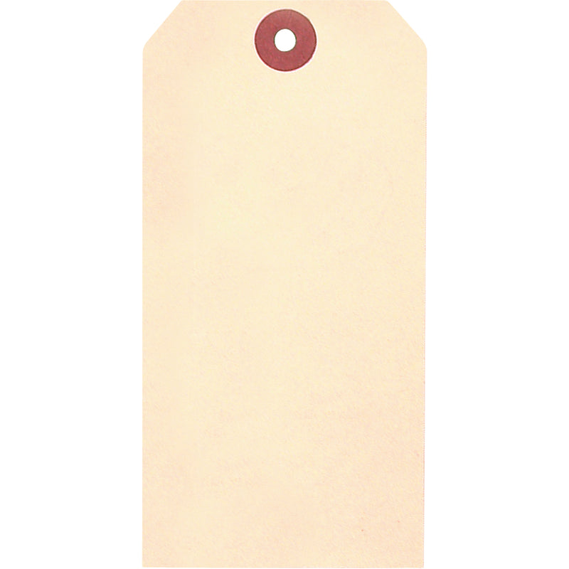 Coloured Blank Tags, Paper, 3-1/8" W x 6-1/4" H