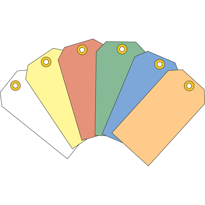 Coloured Blank Tags, Cardstock, 1-7/8" W x 3-3/4" H