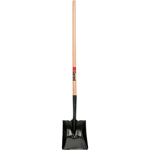 Square Point Shovel