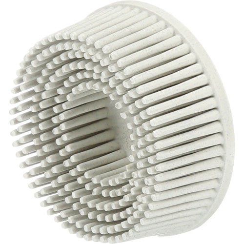 Scotch-Brite™ Roloc™ Bristle Discs