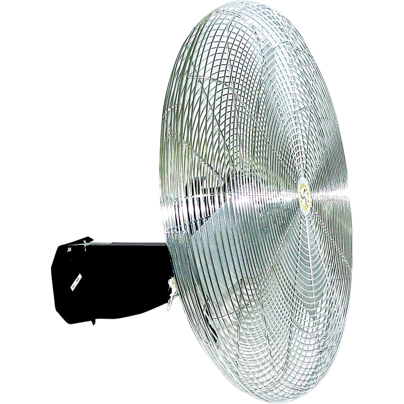 Oscillating Wall fan
