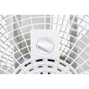 Box Fans