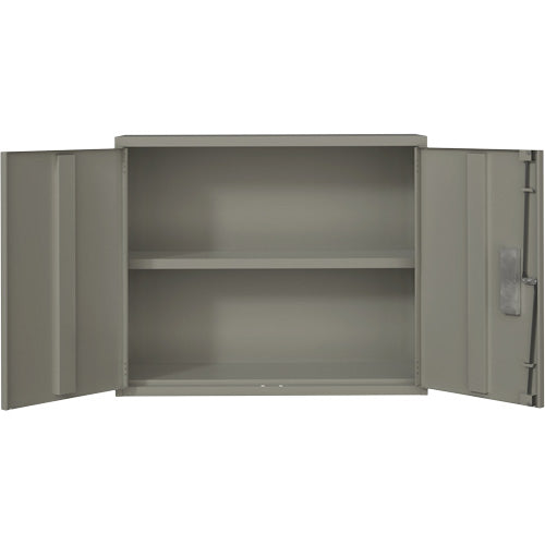 Wall Mounted Cabinet