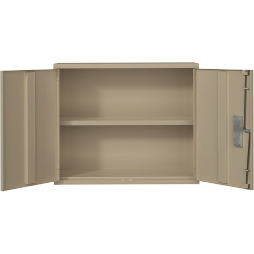 Wall Mounted Cabinet