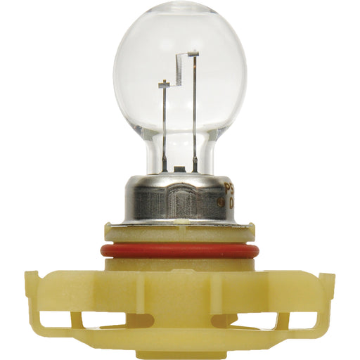 5202 Basic Fog Light Bulb