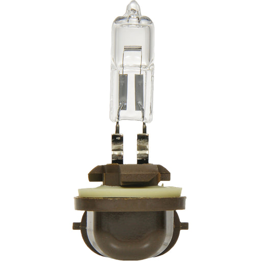 886 Basic Fog Light Bulb