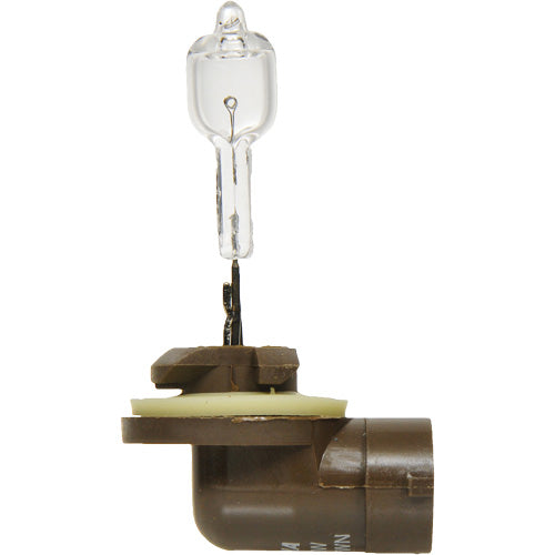 886 Basic Fog Light Bulb
