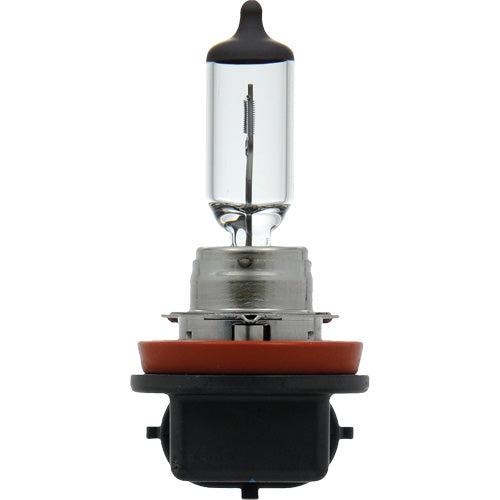 H11 Basic Headlight Bulb