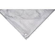 Tarp