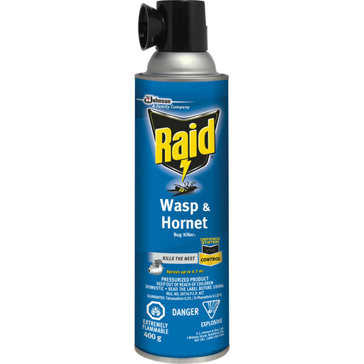 Raid® Wasp & Hornet Bug Killer