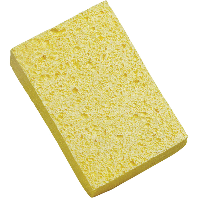 Sponge