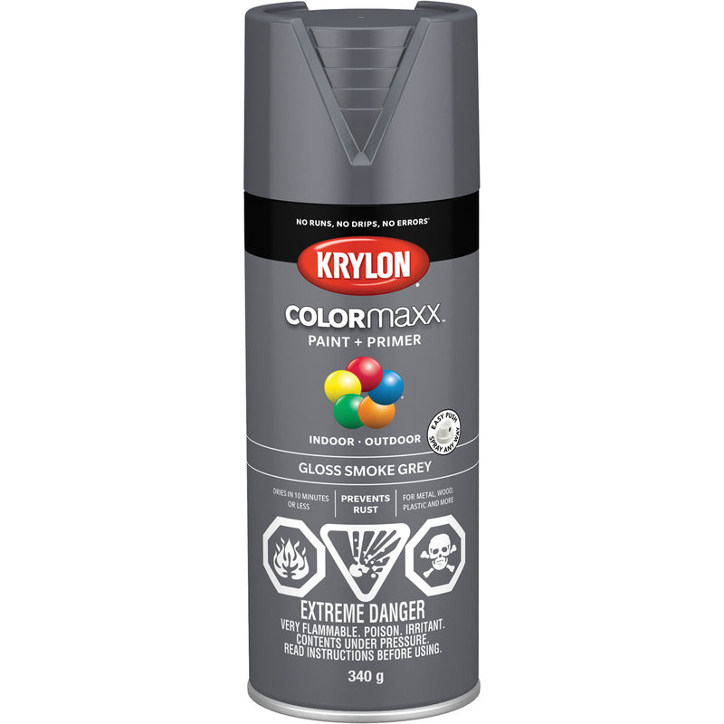 COLORmaxx™ Spray Paint