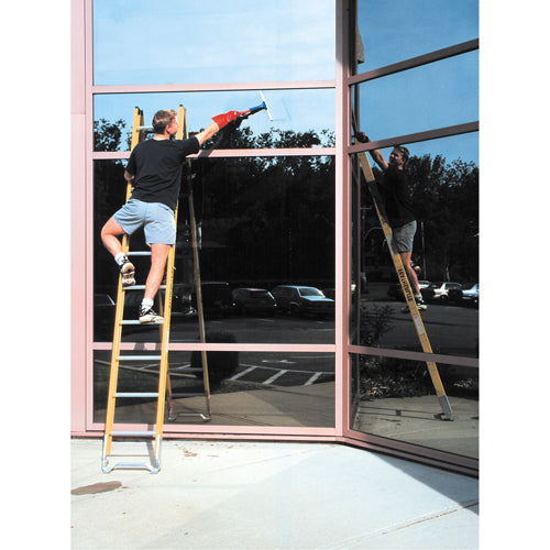 Single Section Straight Ladder - 6100 Series