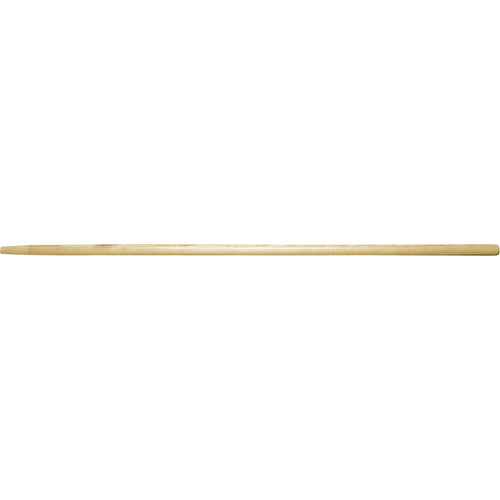 Squeegee Handle