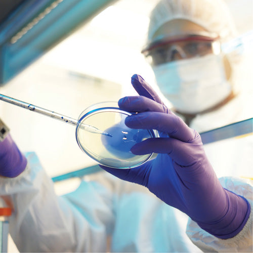 Kimtech™ Examination Gloves