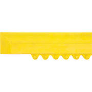 Border Ramp for Matting