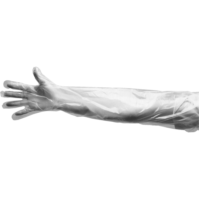 Disposable Gloves