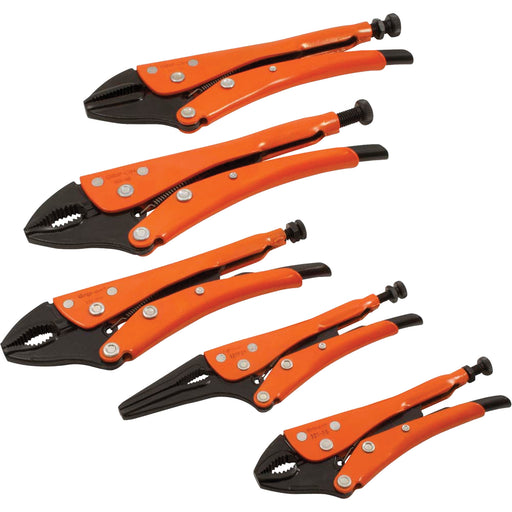 Straight Curved & Long Nose Locking Pliers Set