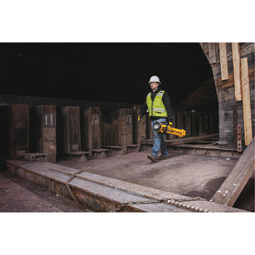 20V Max Cordless Tripod Light