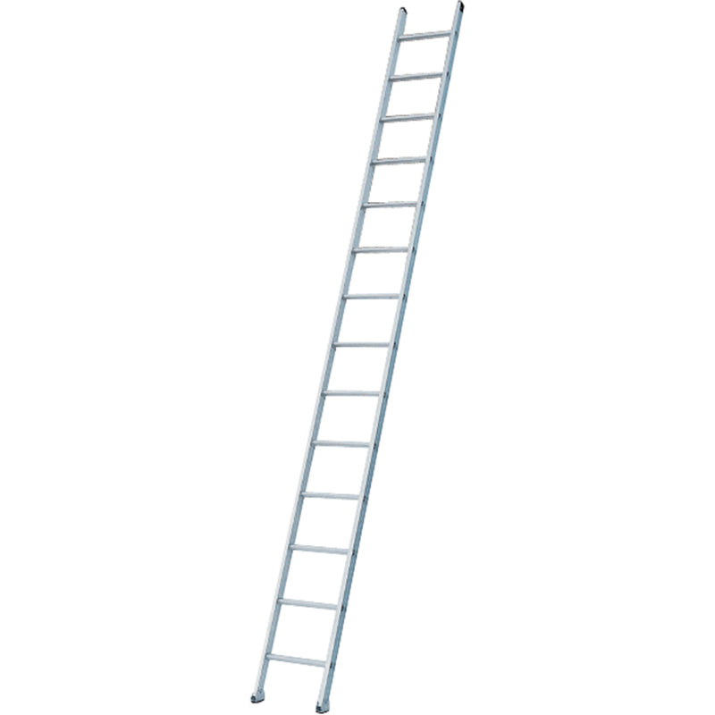 Industrial Heavy-Duty Extension/Straight Ladders