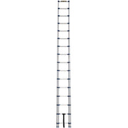 Telescopic Ladder