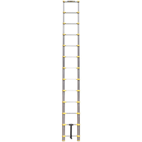Telescopic Ladder