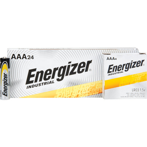 Alkaline Industrial Batteries