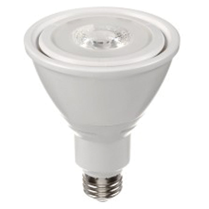 PAR30 LED Bulb